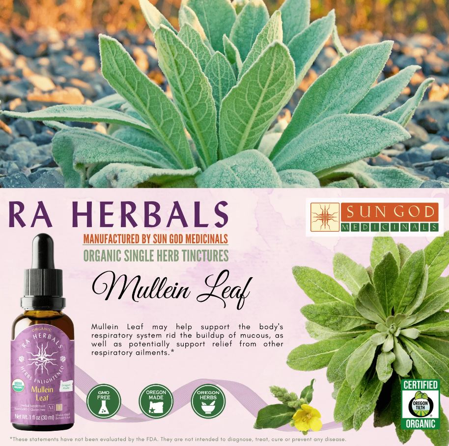 Organic Mullein Leaf Tincture - RESPIRATORY, VIRAL & INFECTIONS