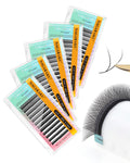 NAGARAKU YY Lash Y-Shape Premade 4D Fans – 0.05mm, 8–12mm, 5 Tray Pack (12 Rows Each)