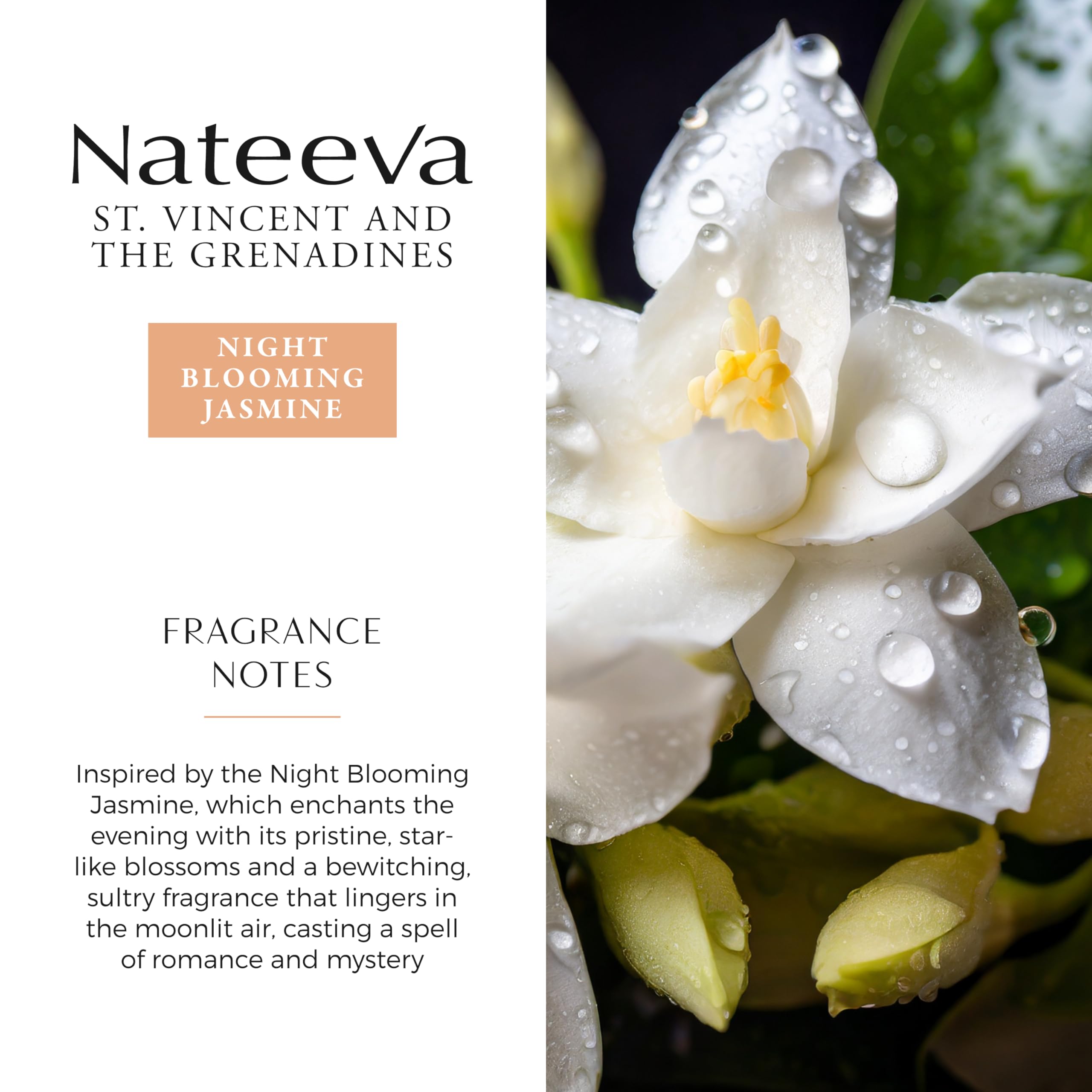 Nateeva St. Vincent Night Blooming Jasmine EDP – 100 ml