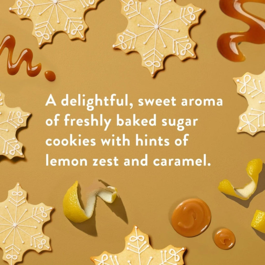 Native Holiday Hand Soap Set – Sugar Cookie & Winter Cashmere (2-Pack, 13 oz Each)