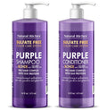 Natural Riches Purple Shampoo & Conditioner Set for Blonde, Silver & Grey Hair – Sulfate-Free (16x2 fl oz)