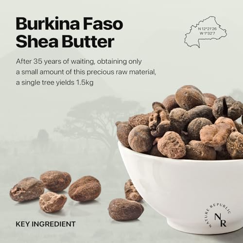 Nature Republic Shea Butter Steam Cream (Moist) – Daily Face Moisturizer, Deep Hydration (3.38 oz)