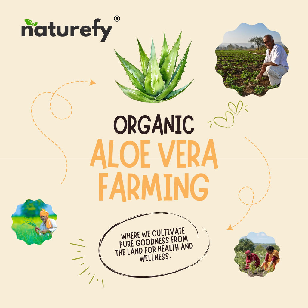 Naturefy Aloe Vera Gel | 100% Pure & Organic Aloe Vera Pulp with Jojoba Oil, Glycerine & Vitamin E