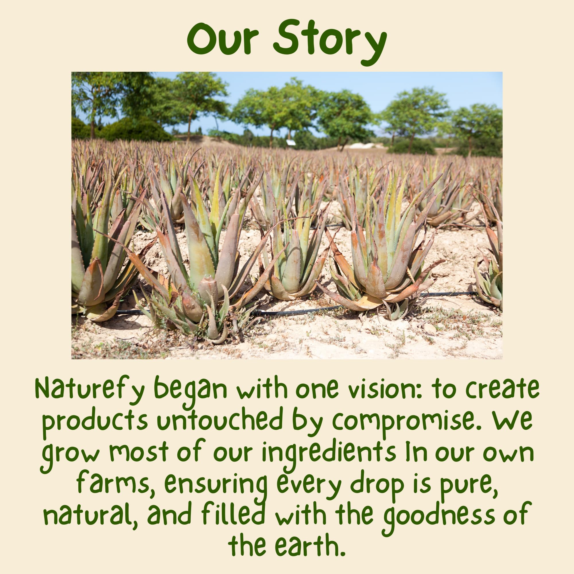 Naturefy Aloe Vera Gel | 100% Pure & Organic Aloe Vera Pulp with Jojoba Oil, Glycerine & Vitamin E