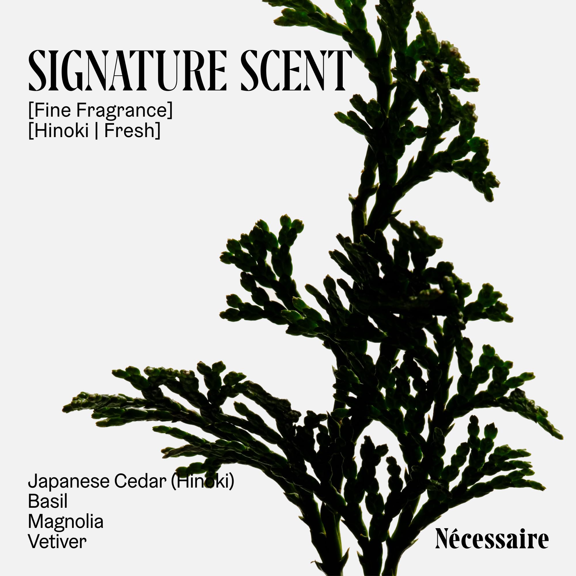 Nécessaire Hinoki Deodorant – Extra Strength Mandelic Acid, Aluminum-Free (75 g/2.5 oz)