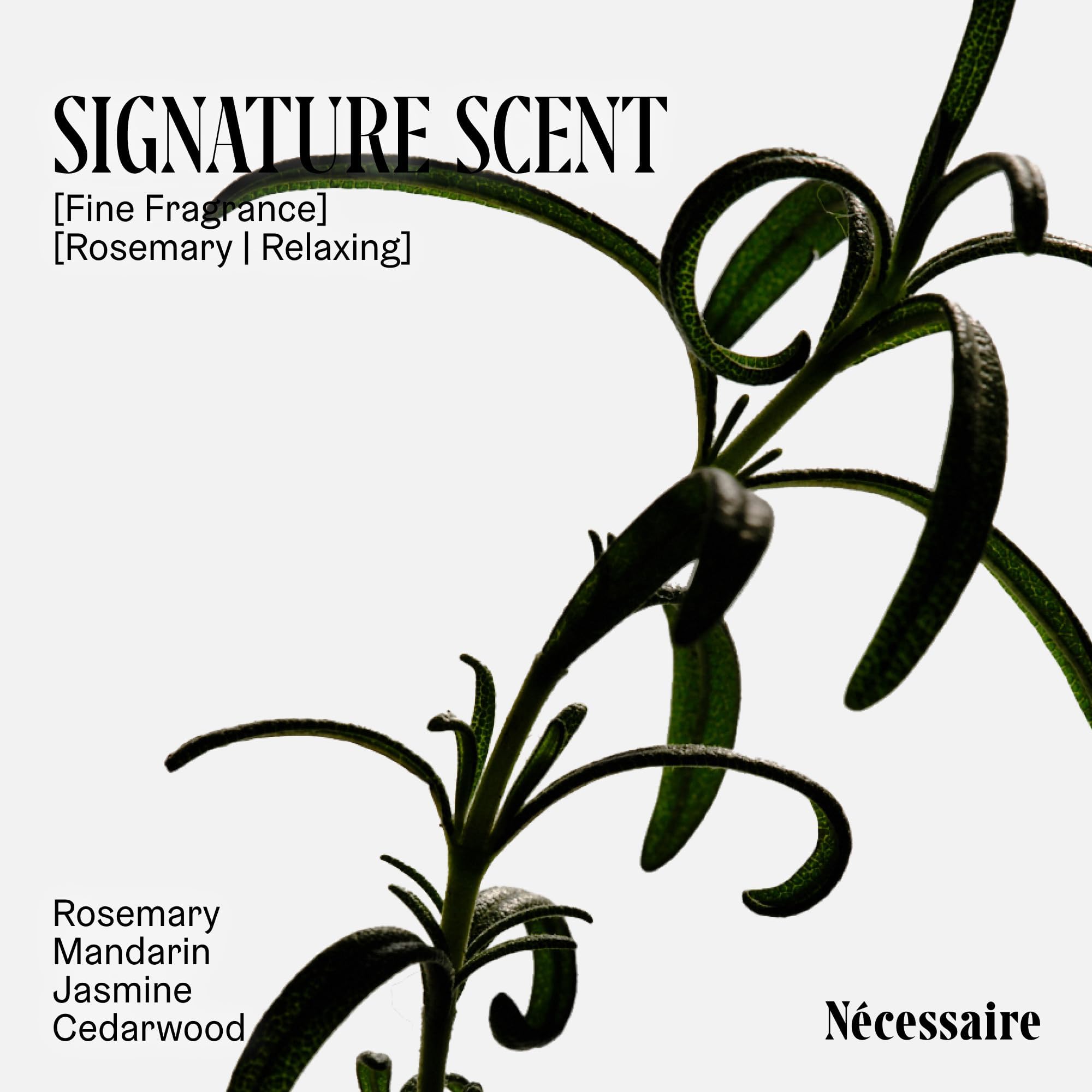Nécessaire Rosemary Conditioner – Strengthening for Thinning Hair, Color-Safe