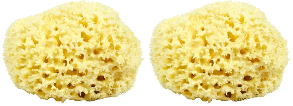 Neptune Natural Sea Wool Sponge – All-Natural Honeycomb Sea Sponge, Jumbo 7-Inch (Pack of 2)