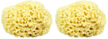 Neptune Natural Sea Wool Sponge – All-Natural Honeycomb Sea Sponge, Jumbo 7-Inch (Pack of 2)