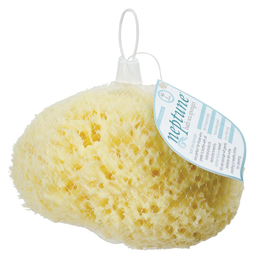 Neptune Natural Sea Wool Sponge – All-Natural Honeycomb Sea Sponge, Jumbo 7-Inch (Pack of 2)