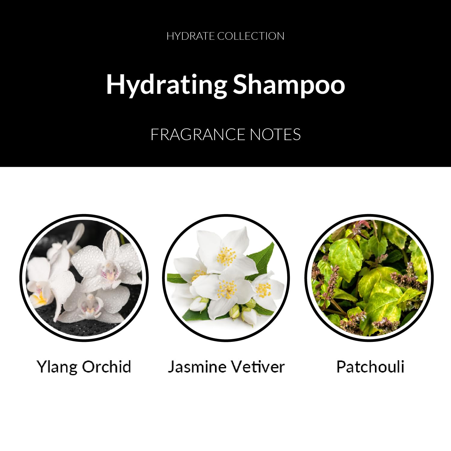 Number 4 Hydrating Shampoo – Moisturizing & Color Safe, 8.5 oz