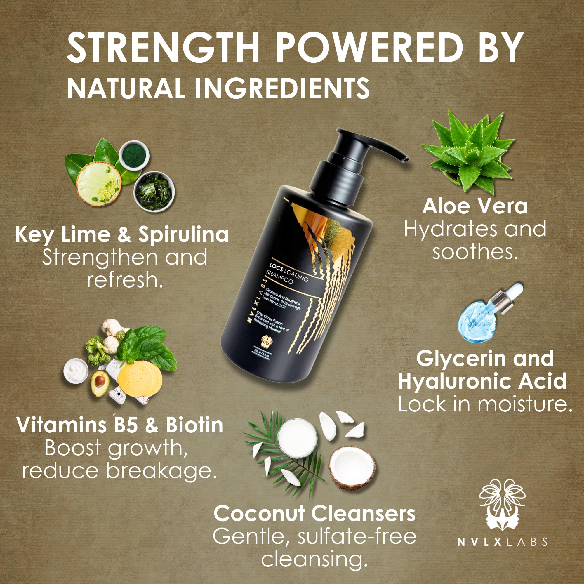 NVLX LABS Locs Shampoo 8 Oz | Herbal Cleanser for Dreads, Locks & Sisterlocs