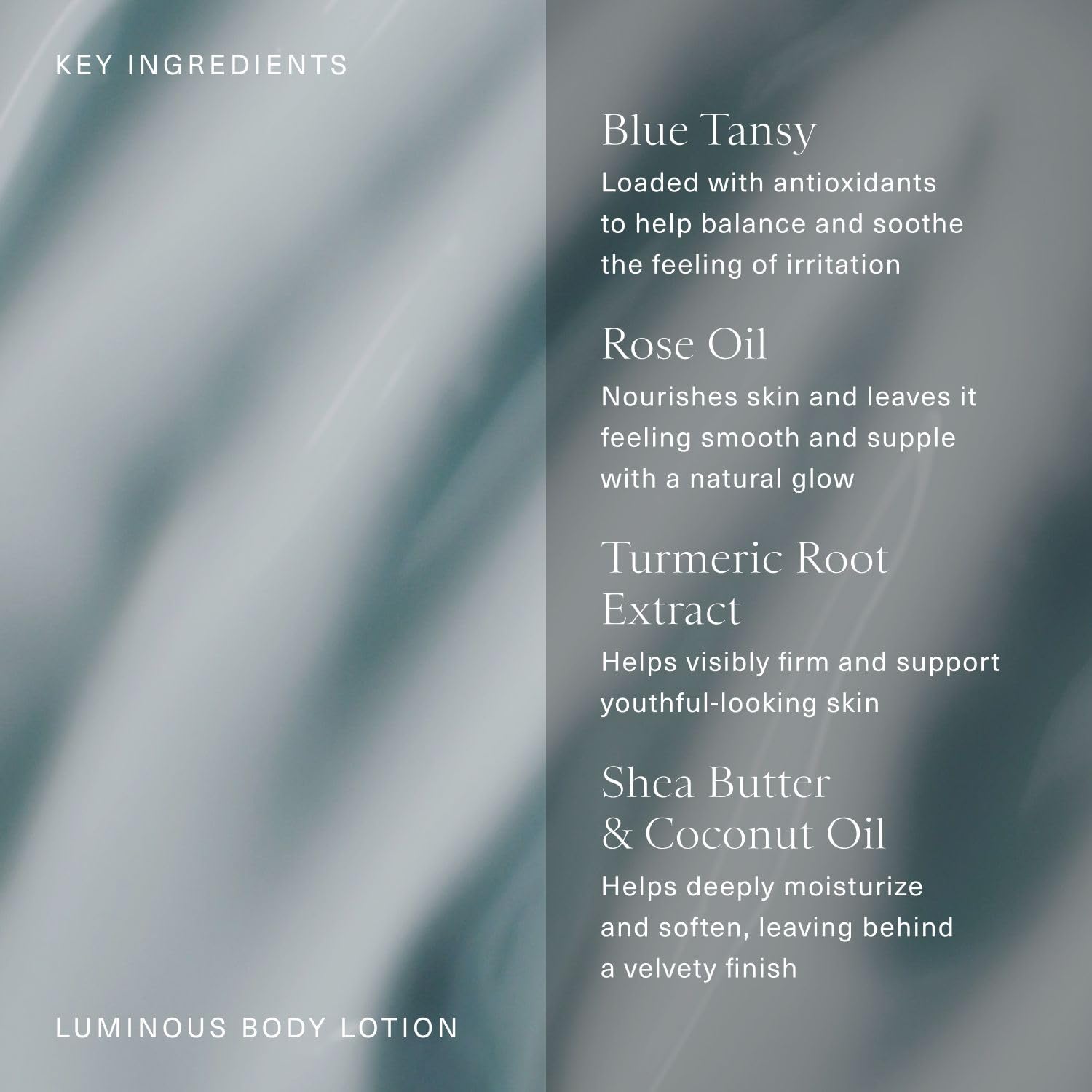 Oak Essentials Luminous Body Lotion | Hydrating Blue Tansy, Rose Oil, Turmeric, Shea Butter & Coconut Oil