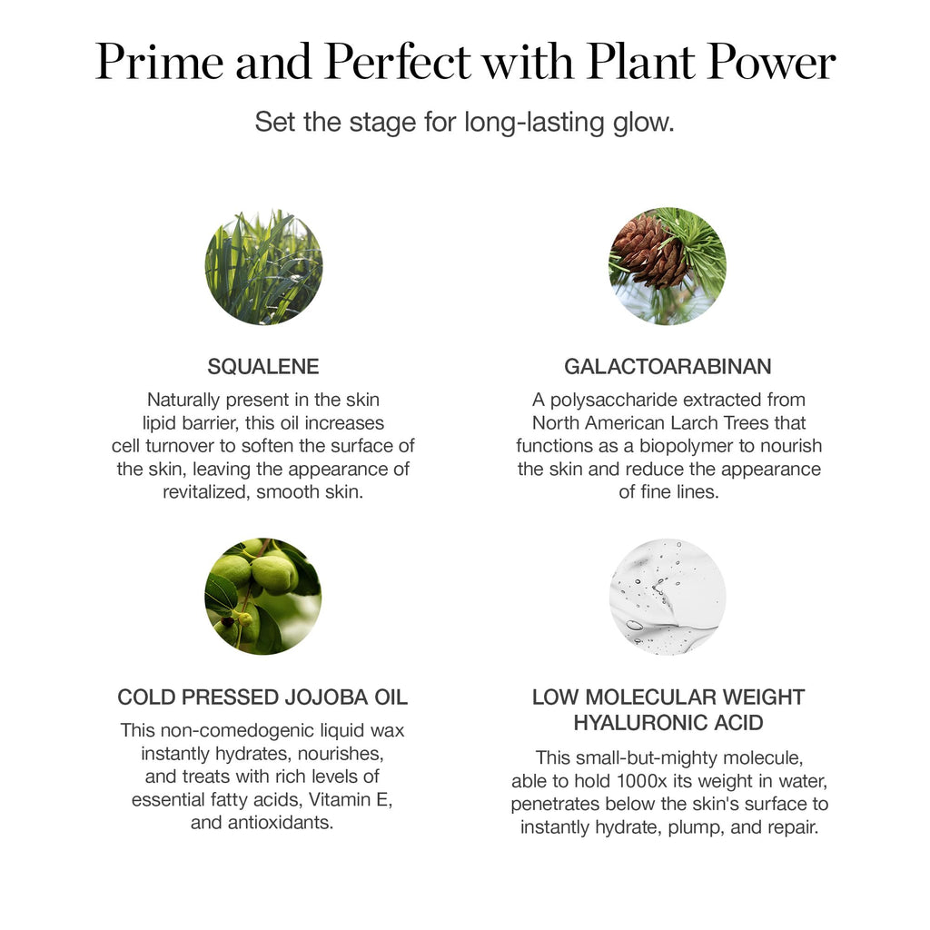 Ogee Makeup Primer - Hydrating Botanical Face Primer for All Skin Types | 73% Organic, Made in USA
