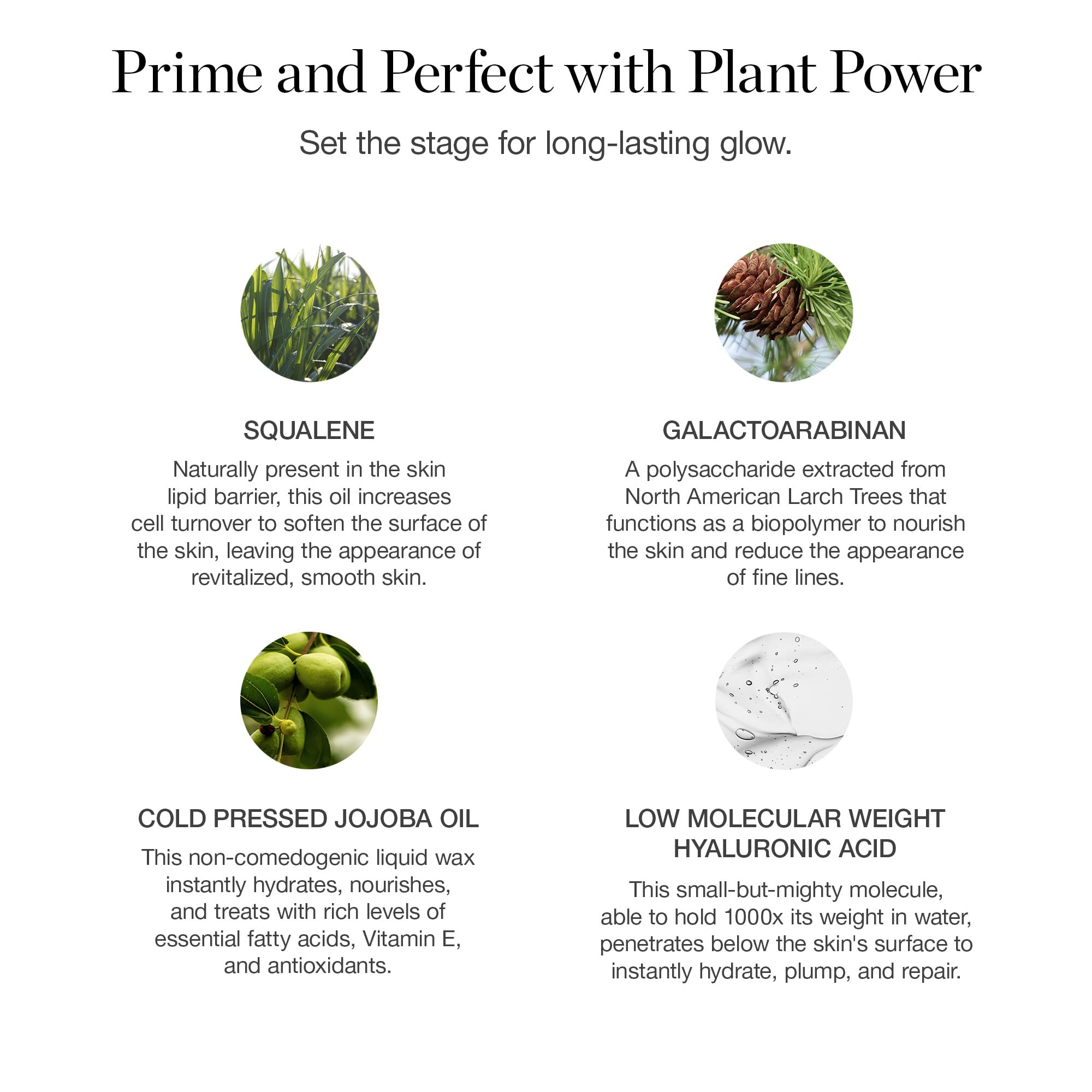 Ogee Makeup Primer - Hydrating Botanical Face Primer for All Skin Types | 73% Organic, Made in USA