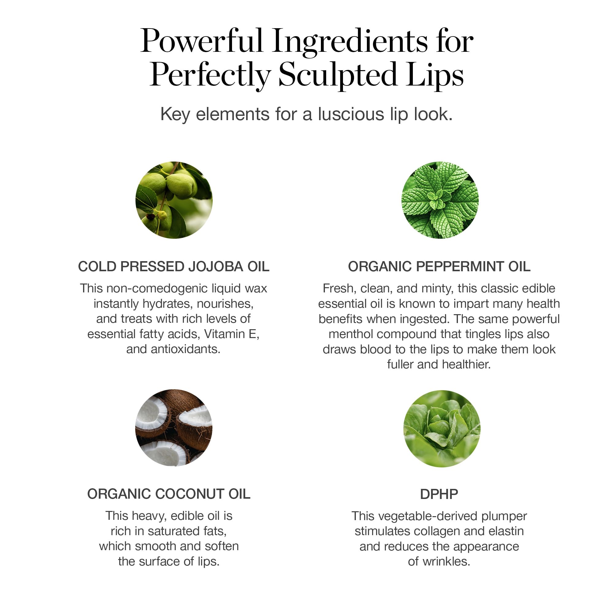 Ogee Tinted Sculpted Lip Oil – Nolana Lip Tint & Treatment (Terracotta Brown)