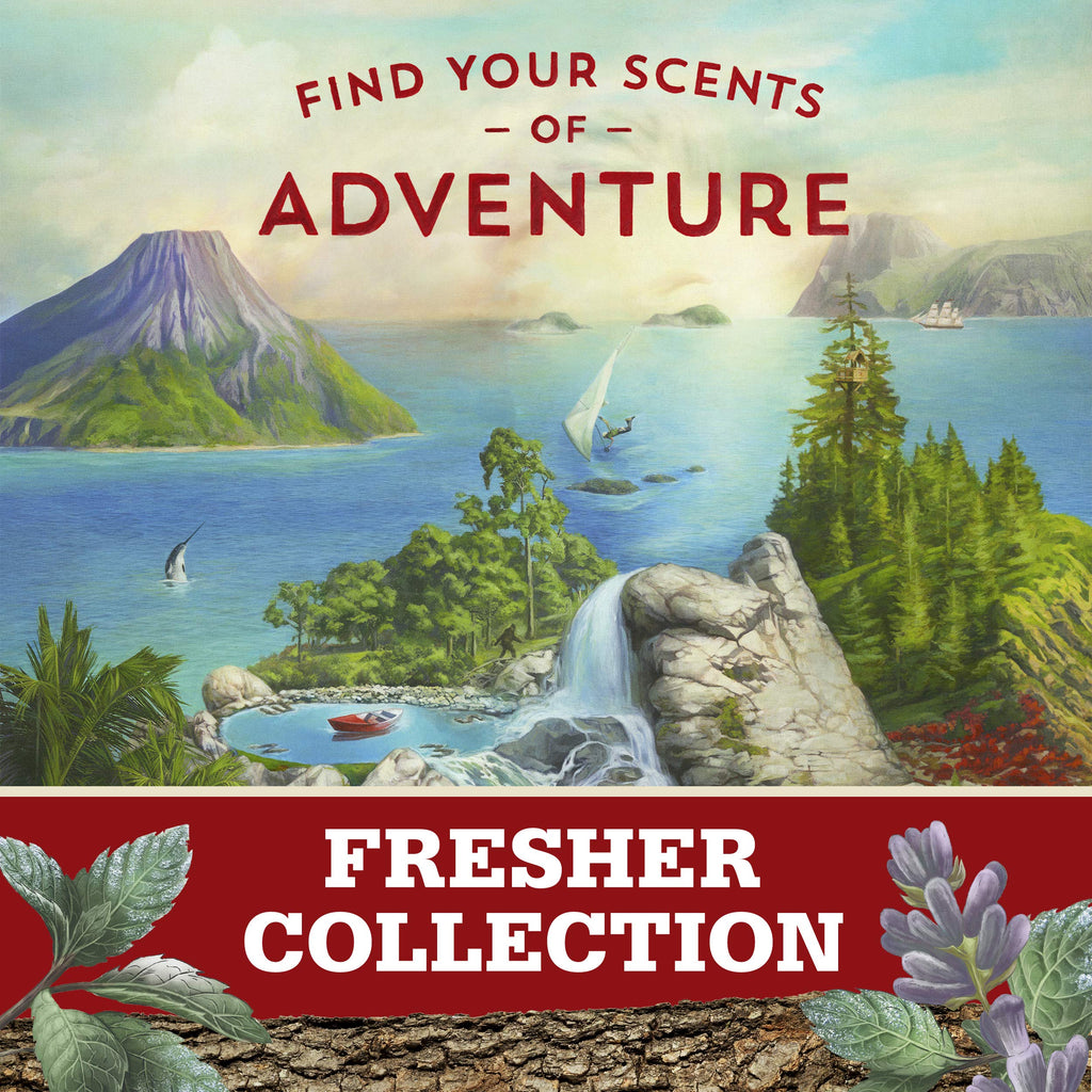 Old Spice Wilderness Lavender Invisible Solid Antiperspirant Deodorant for Men — 2.6 oz (Pack of 12)