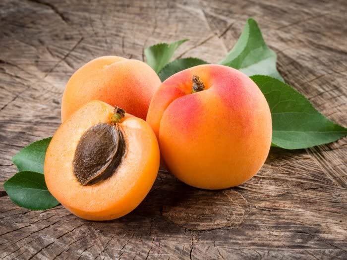 OPO Apricot Kernel Oil – Pure, Cold-Pressed, Unrefined 32 oz