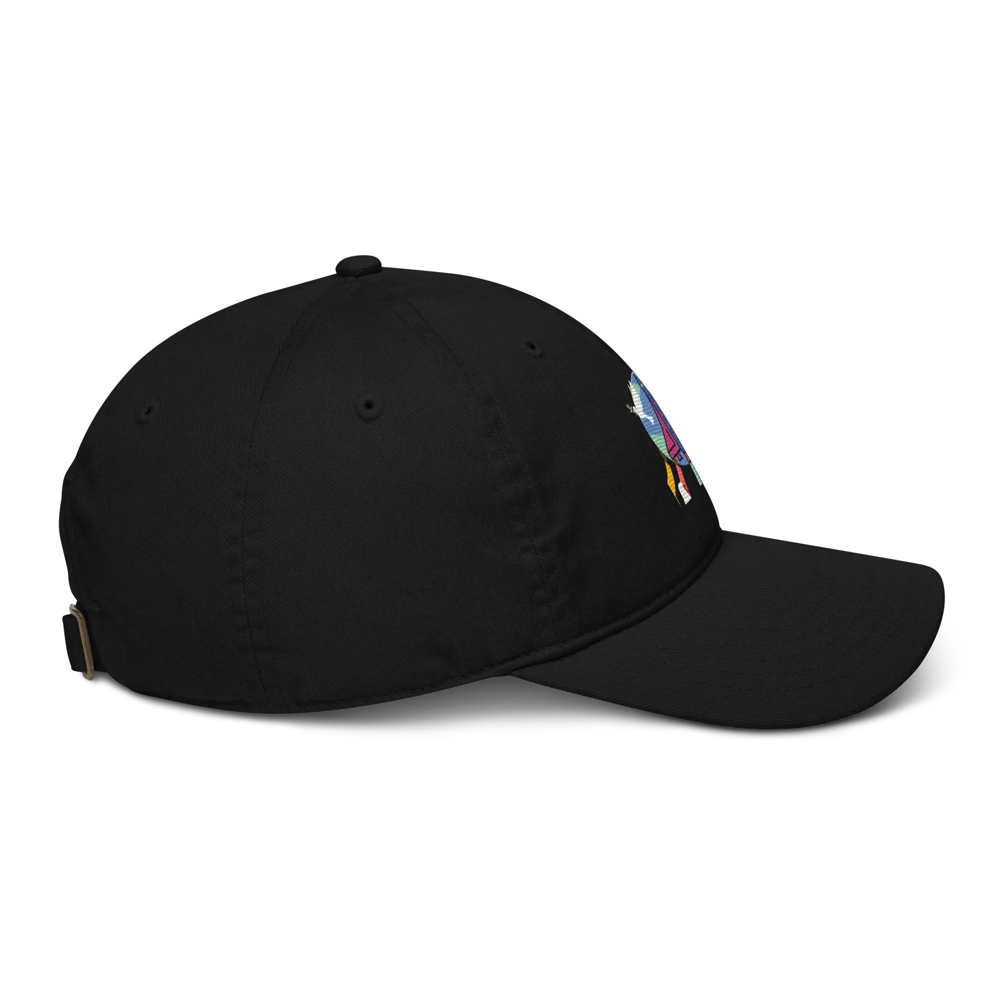 First Home Organic Baseball hat
