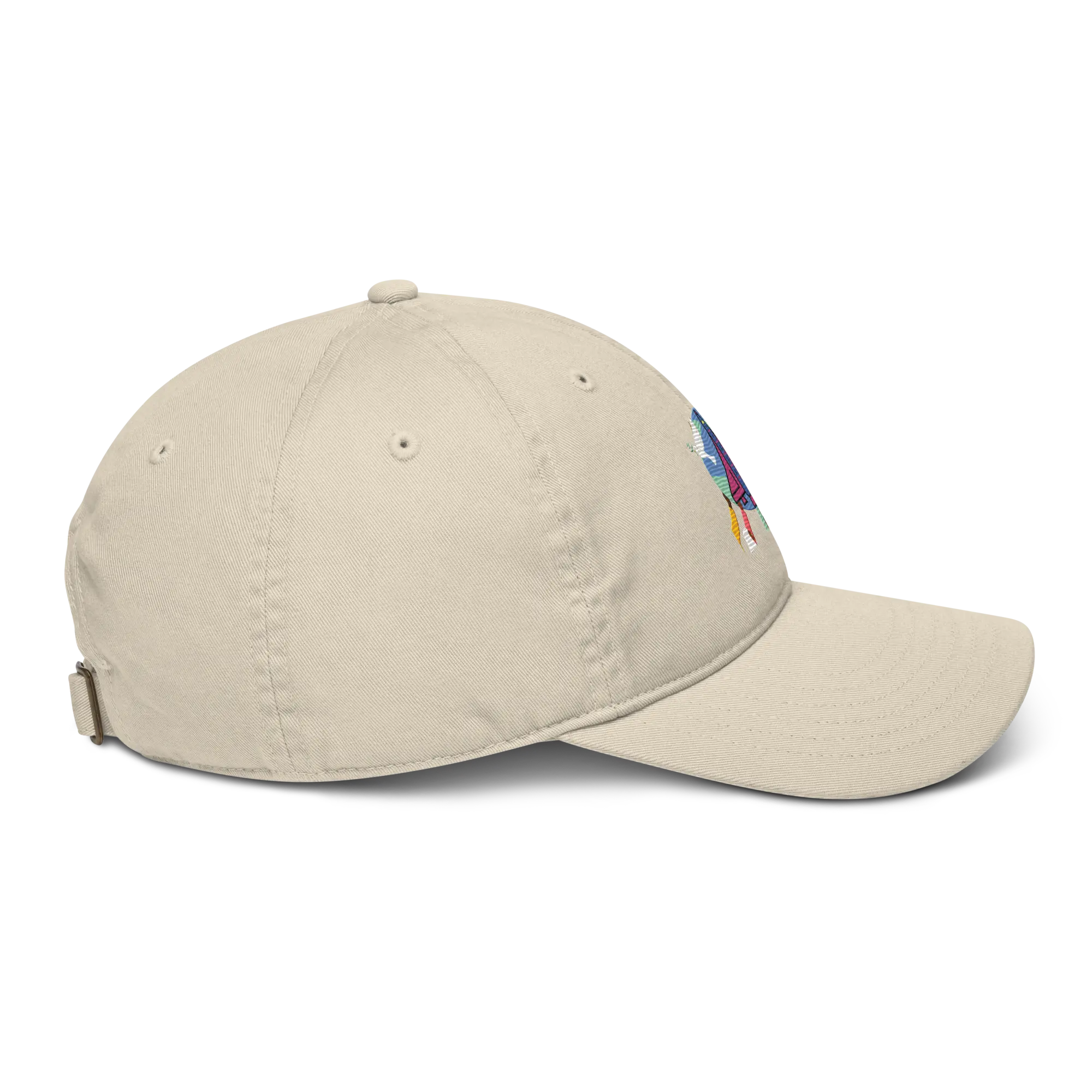 First Home Organic Baseball hat
