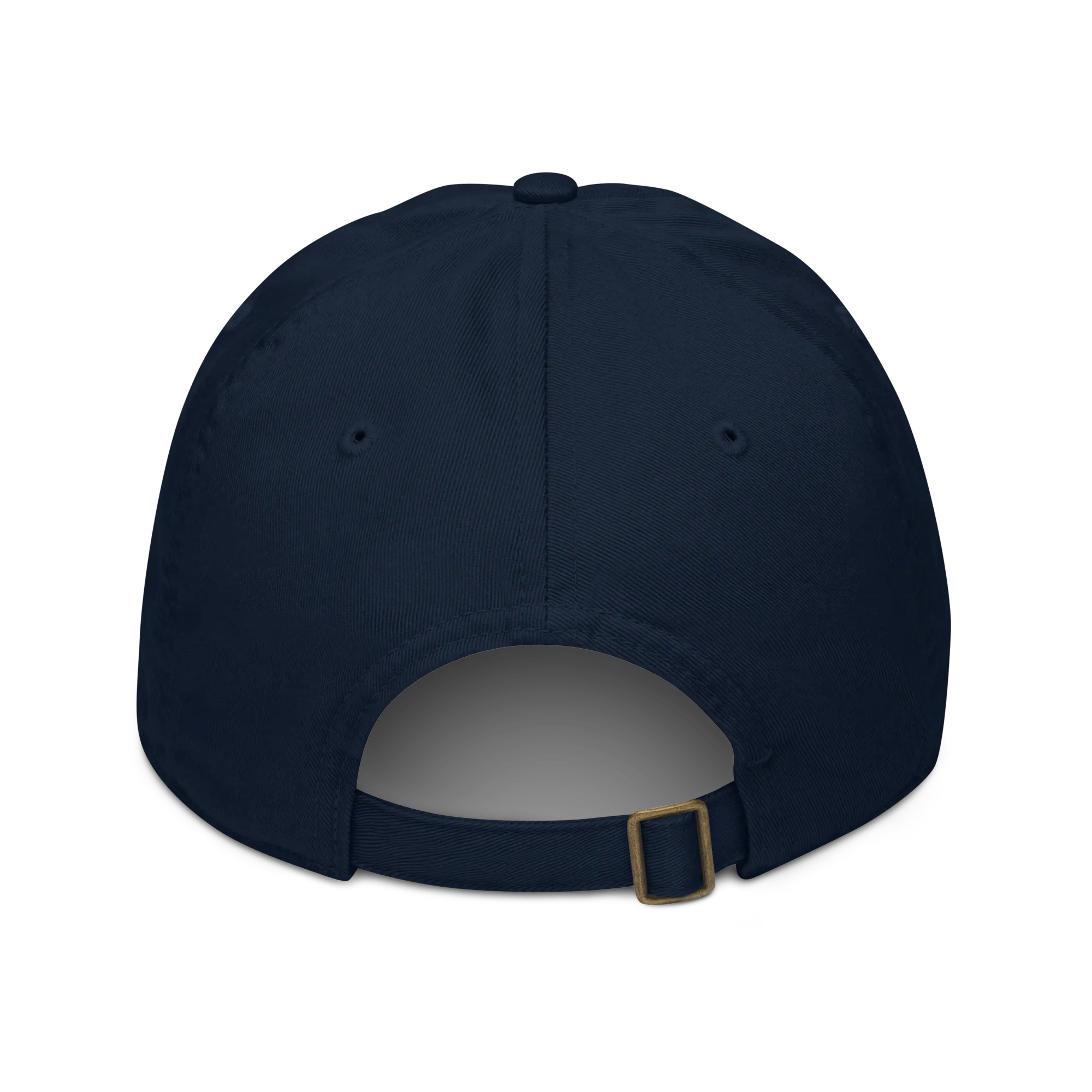 First Home Organic Baseball hat