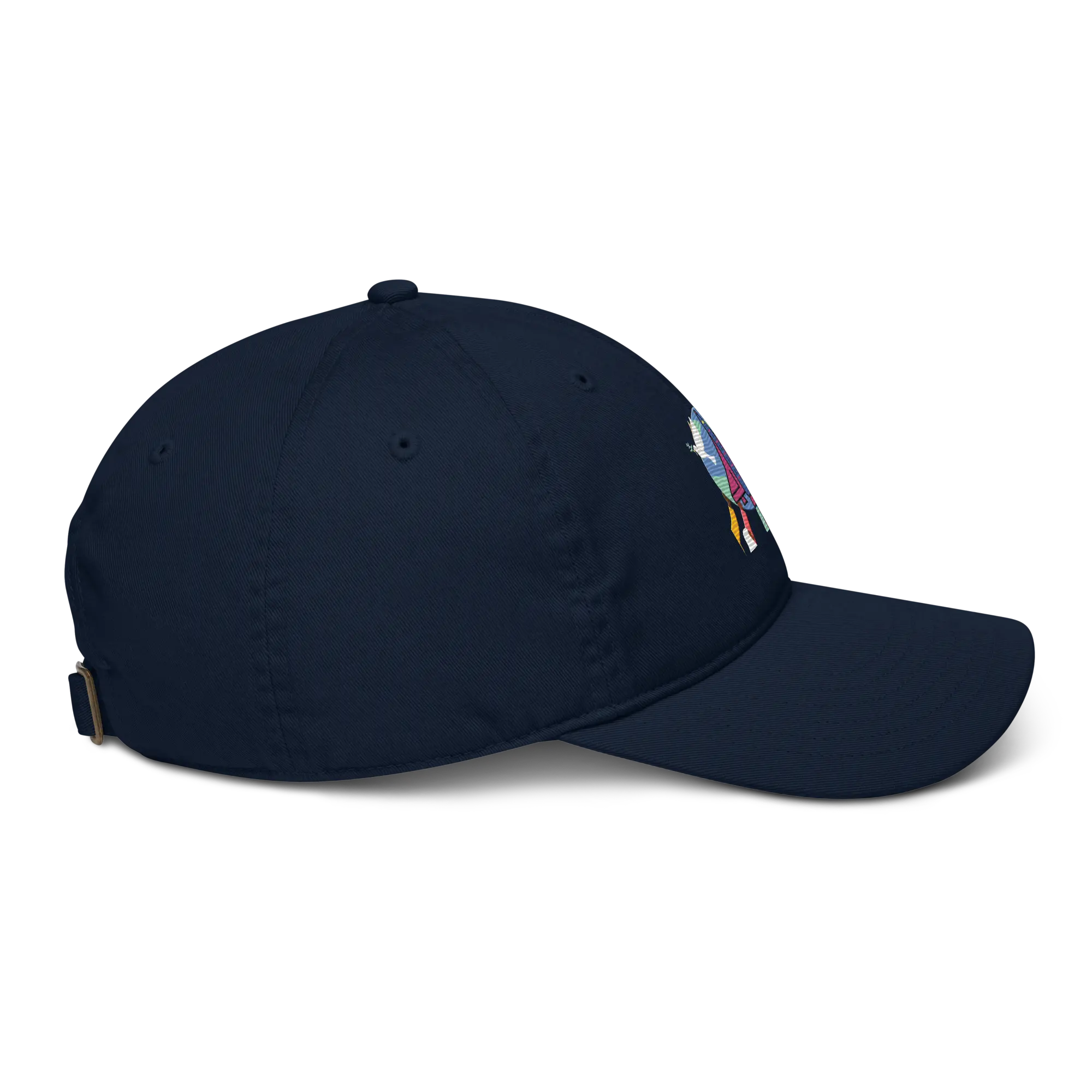 First Home Organic Baseball hat