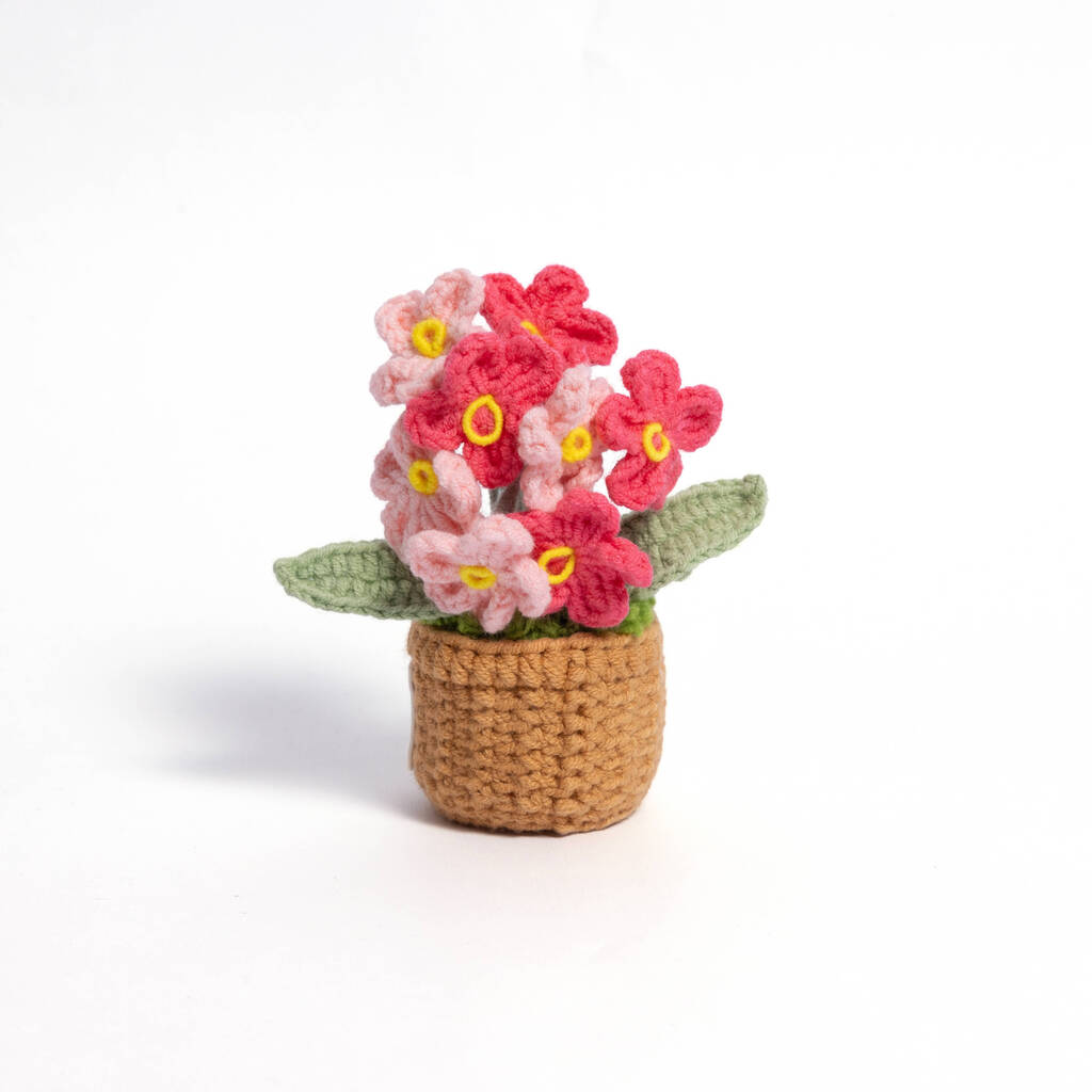 Forget-Me-Not