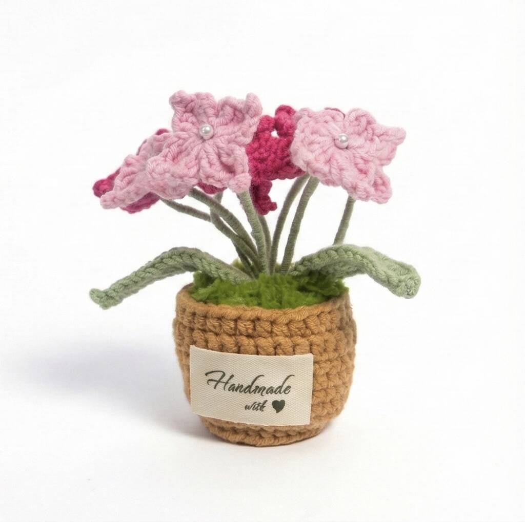 Forget-Me-Not
