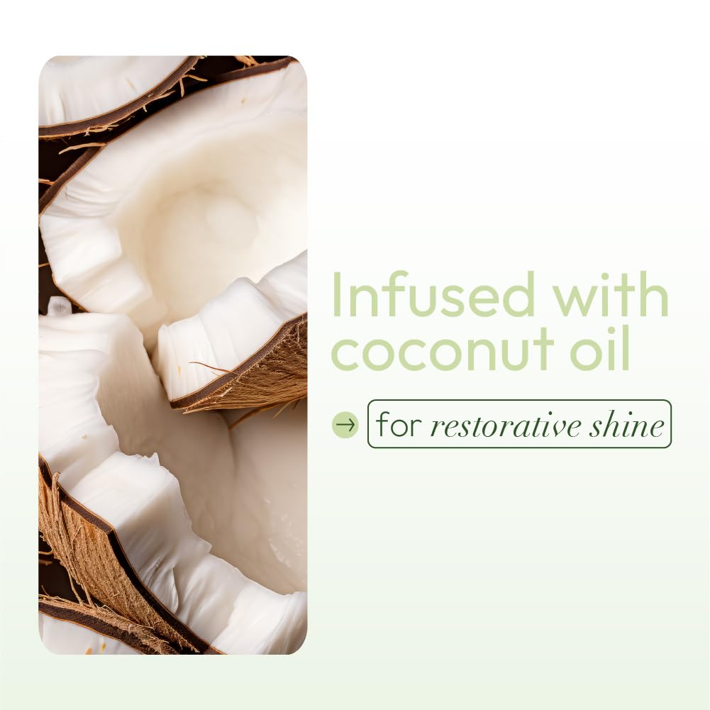 ORS Olive Oil Nourishing Sheen Spray with Coconut Oil – 10 oz (Pack of 4)