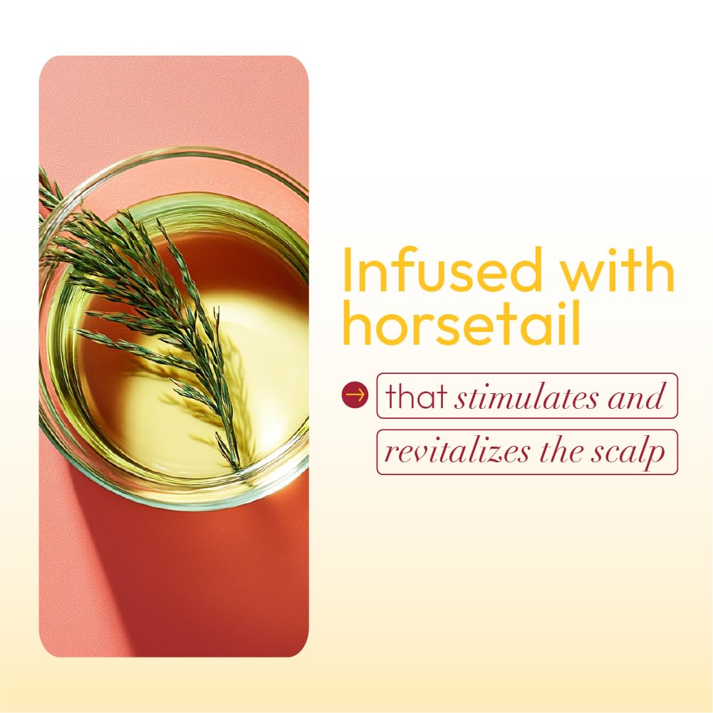 ORS Fertilizing Temple Balm - 2 oz | Hair Support for Temples & Thin Areas