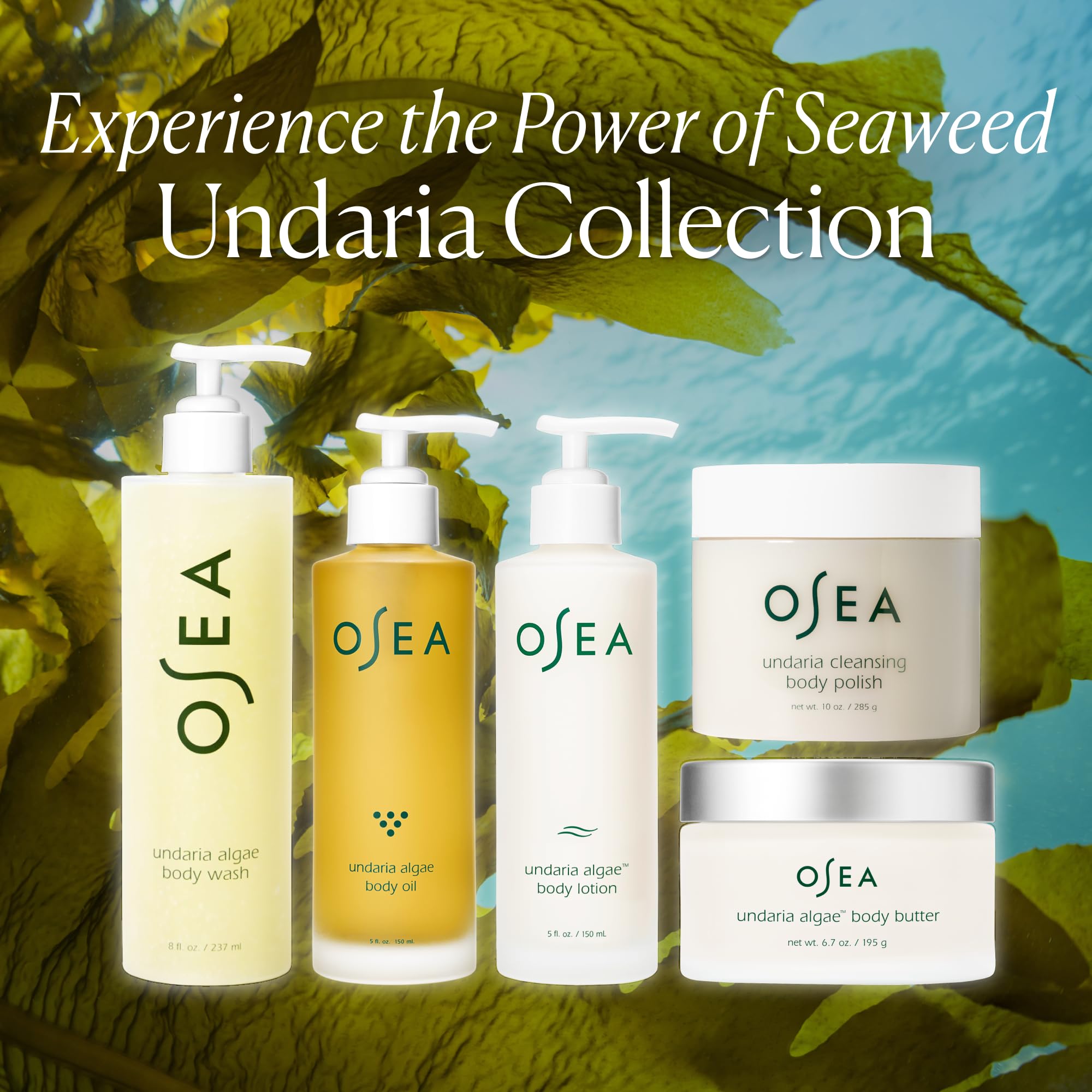 OSEA Undaria Algae Fragrance Free Body Lotion 5 oz – Ultra-Hydrating, Lightweight & Firming in 4 Hours