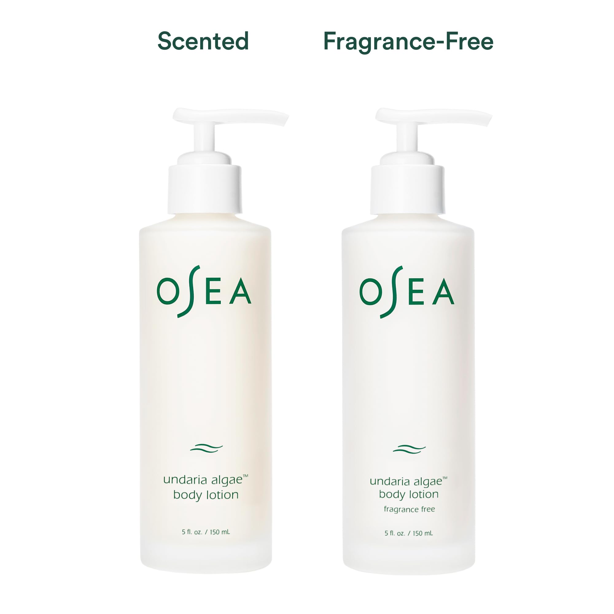 OSEA Undaria Algae Fragrance Free Body Lotion 5 oz – Ultra-Hydrating, Lightweight & Firming in 4 Hours