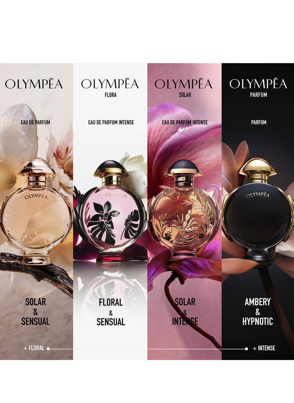 Paco Rabanne Olympéa for Women – Amber Floral EDP, 1.7 oz