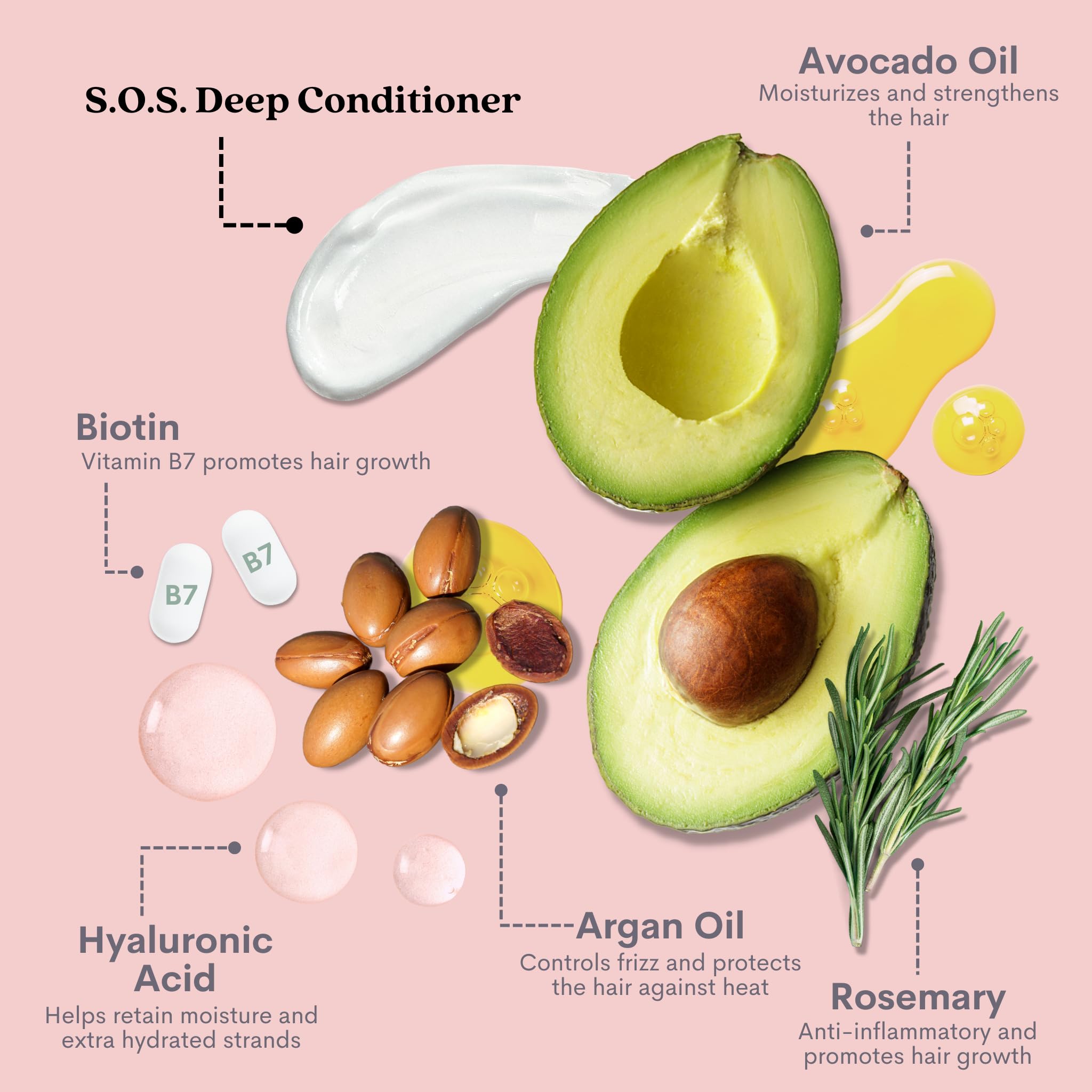 Pallure Hydrating Bond Conditioner – Thicker, Voluminous Hair | Hyaluronic Acid, Biotin, Avocado & Rosemary Oil (10.14 Fl Oz)