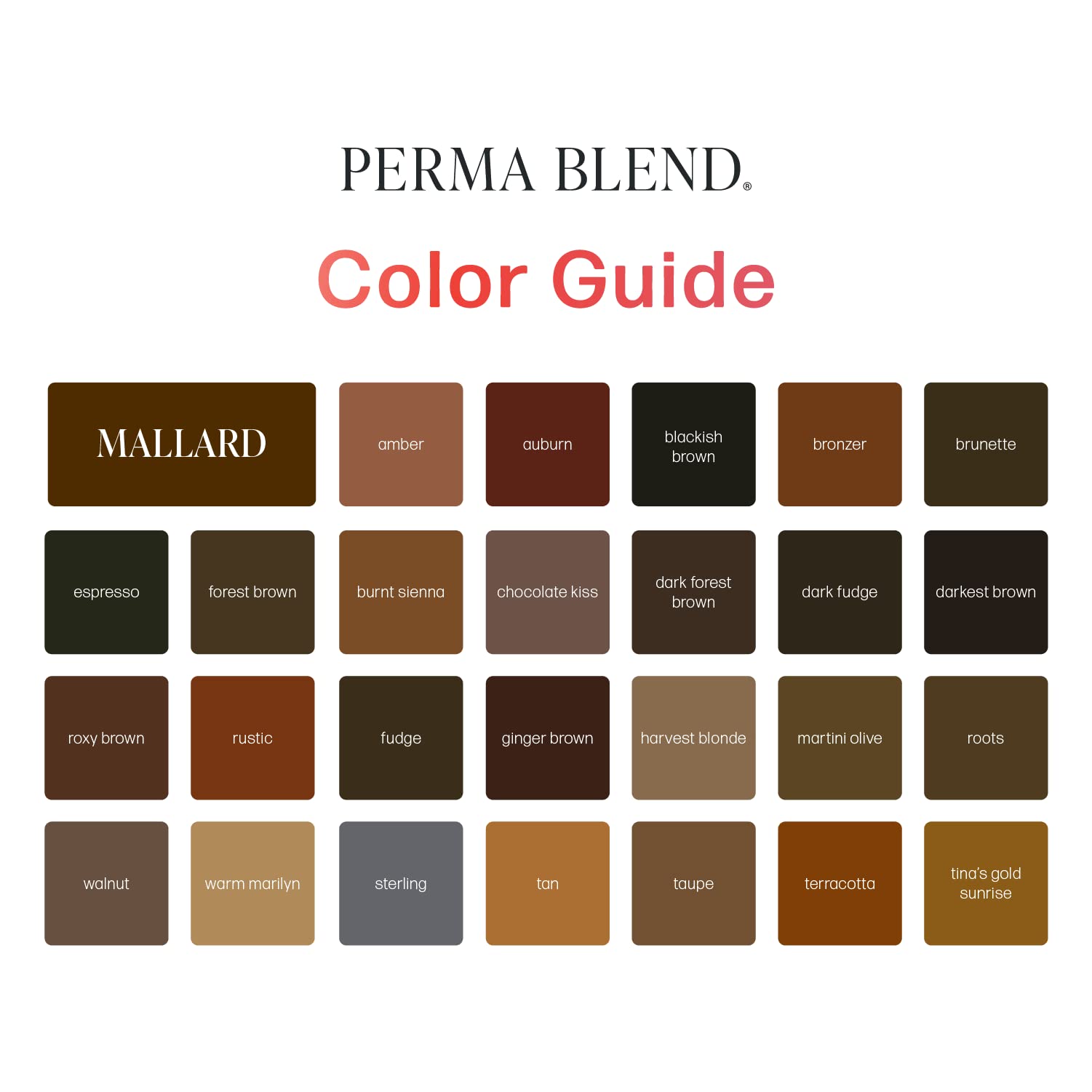 Perma Blend Dark Fudge Microblading Ink – Dark Brown, Vegan, 0.5 oz for Permanent Eyeliner