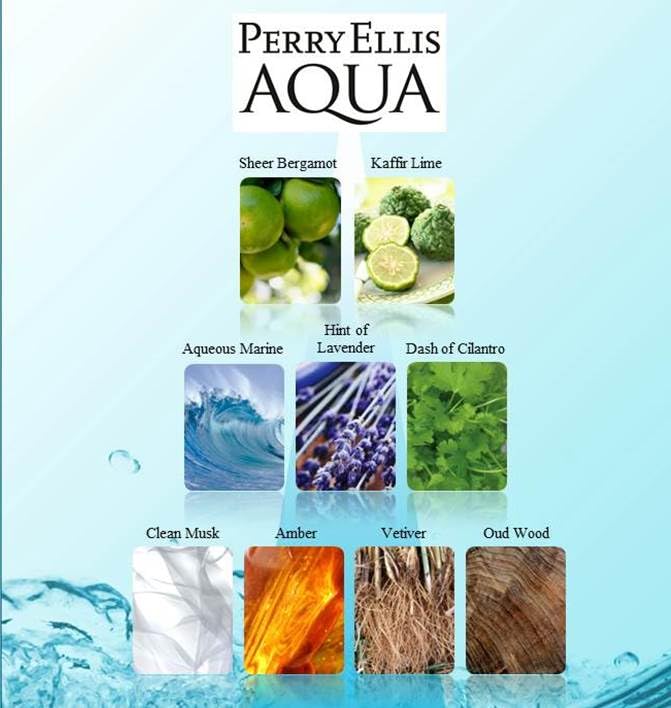Perry Ellis Aqua for Men 4-Piece Gift Set – Fresh Marine Citrus Scent
