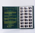 Pinneacle 2100 Premade Volume Fans – 21 Sizes in 1 Box (C/CC/D, 9–15mm) for Beginners