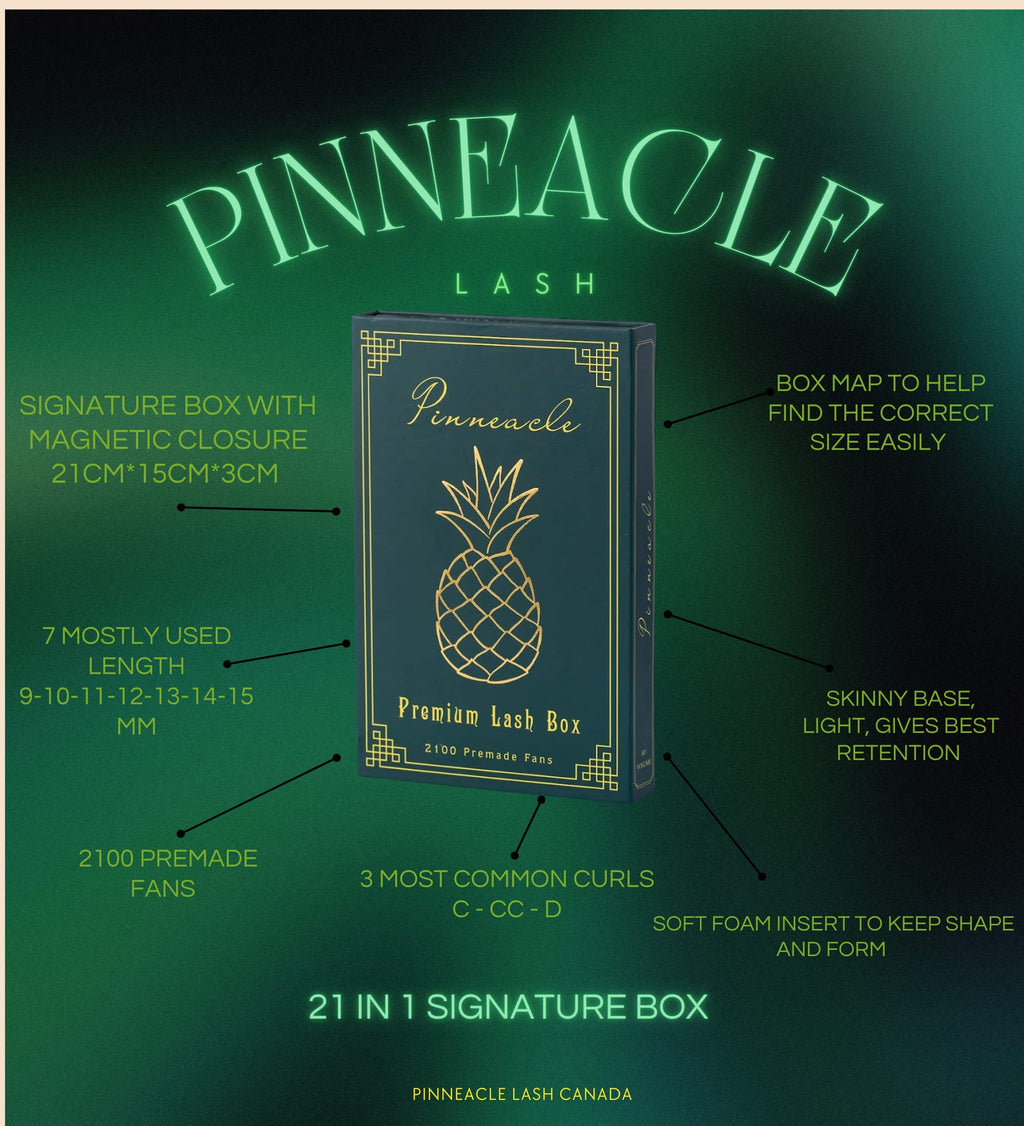 Pinneacle 2100 Premade Volume Fans – 21 Sizes in 1 Box (C/CC/D, 9–15mm) for Beginners