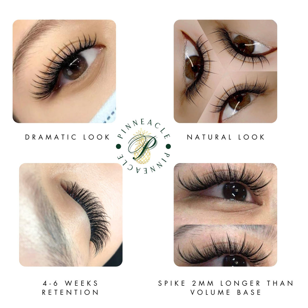 Pinneacle Wispy Promade Fans Box – Black & Brown Premade Lash Fans, C/D Curl, 8–13mm