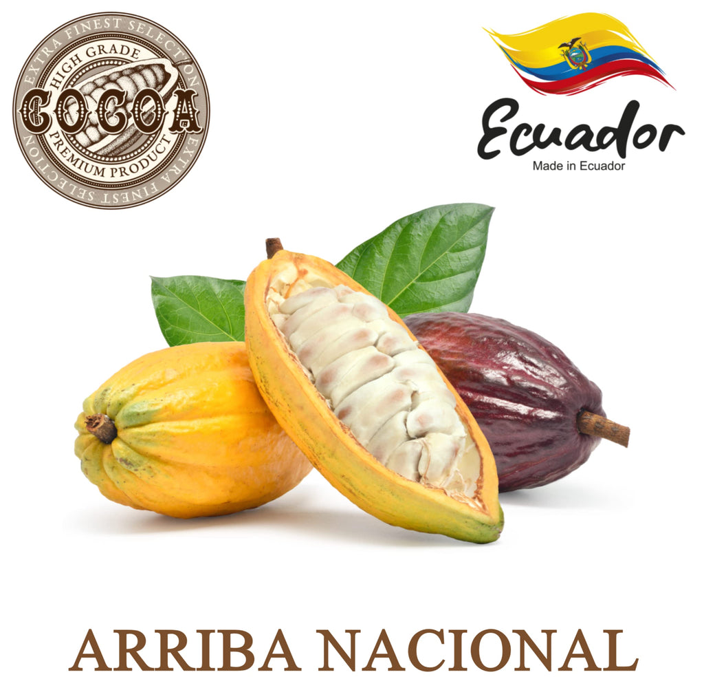 Plant Guru Raw Cocoa Butter 8 oz Bar – 100% Pure Arriba Nacional Ecuador Cocoa for Lip Balms, Body Butters & Soap Making