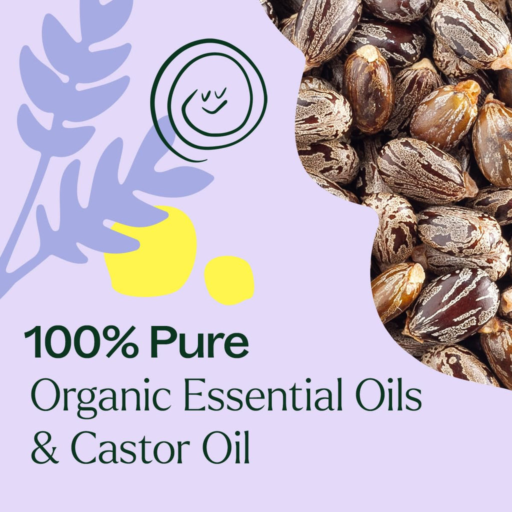 Plant Therapy Organic Lavender & Frankincense Castor Oil Roll-On – 30 mL