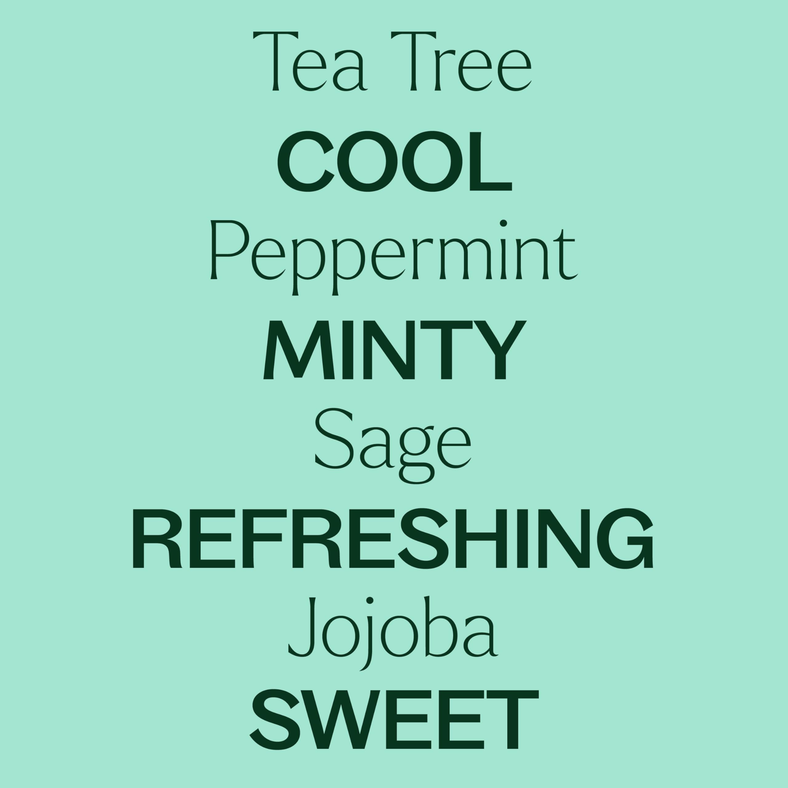 Plant Therapy Tea Tree & Peppermint Body Wash 16 oz | Sulfate-Free, All Skin Types