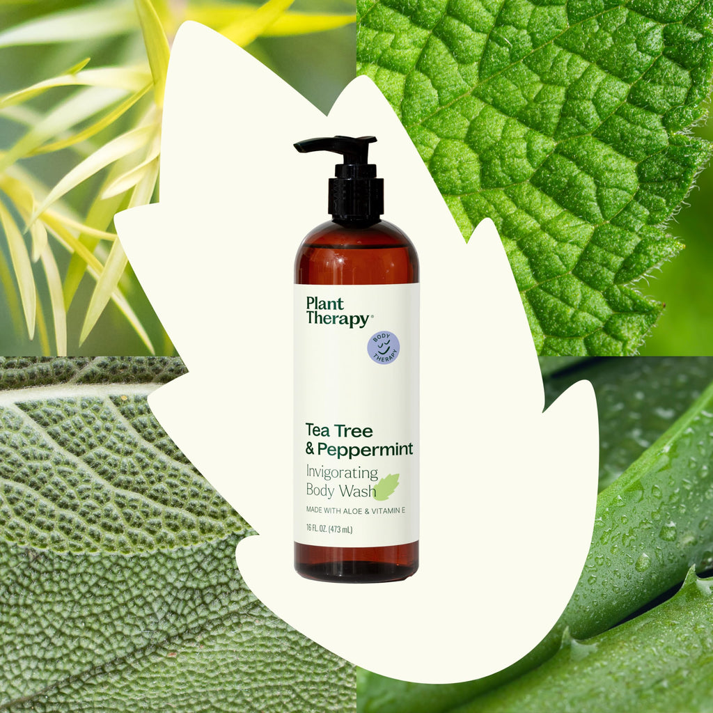 Plant Therapy Tea Tree & Peppermint Body Wash 16 oz | Sulfate-Free, All Skin Types