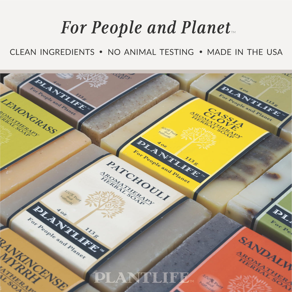 Plantlife Double Mint 6-Pack Bar Soap — Moisturizing, Handcrafted Plant-Based Soap Made in California
