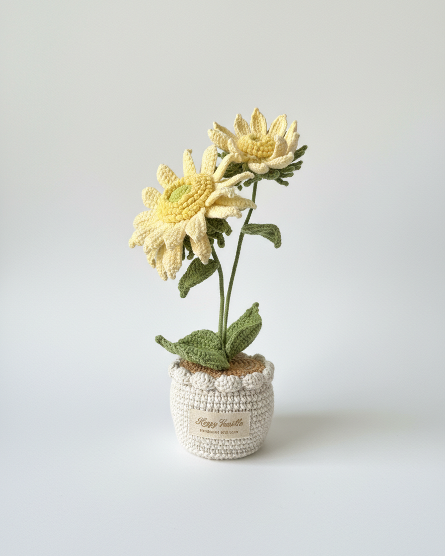 Dawn's Eye Daisies