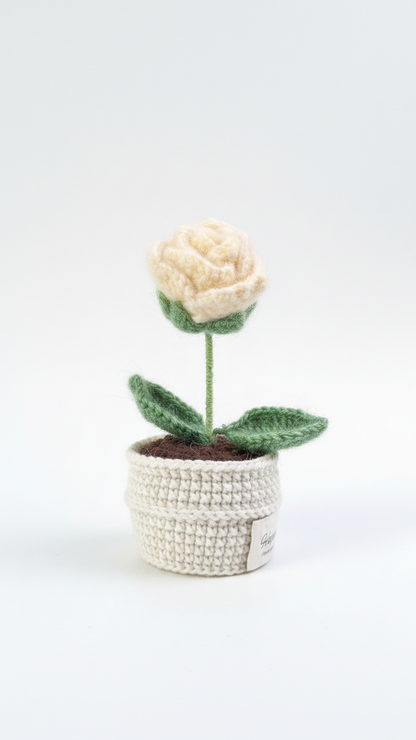 The Everlasting Queen Rose
