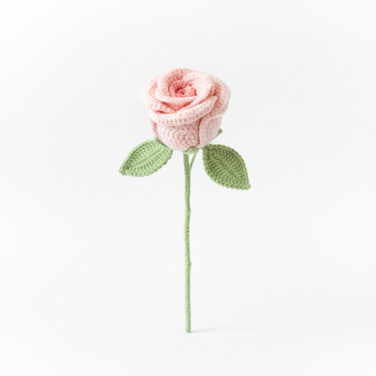 Enchanting Rose Pot Plant