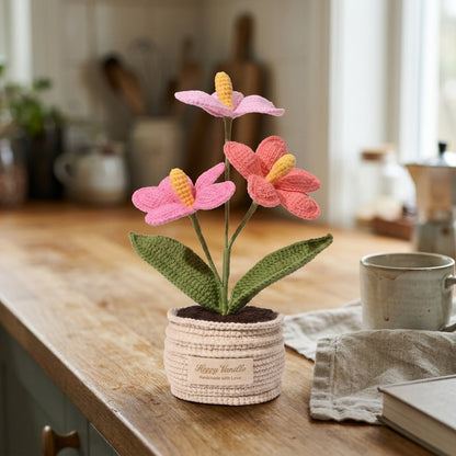 The Flamingo Heart Anthurium