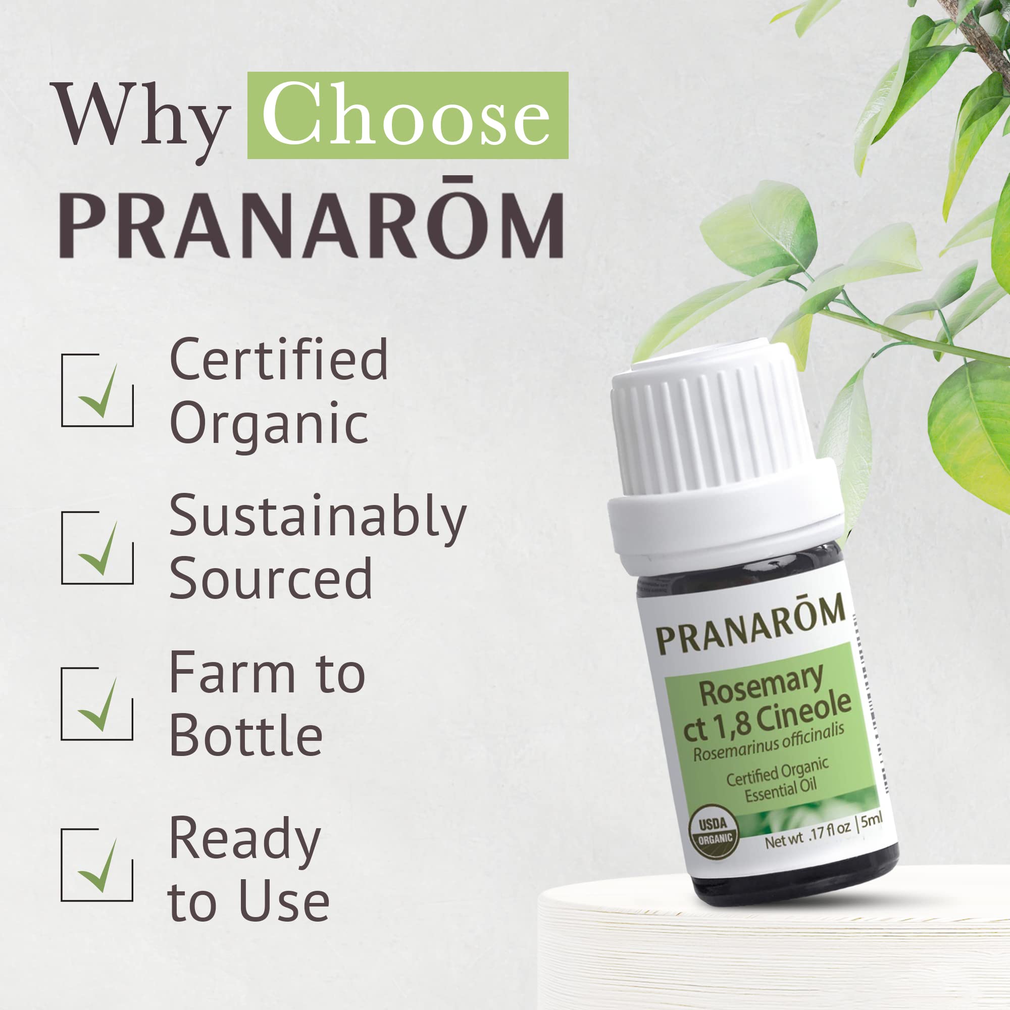 Pranarom USDA Certified Organic Rosemary Cineole Essential Oil (5ml) – 100% Pure Therapeutic Grade