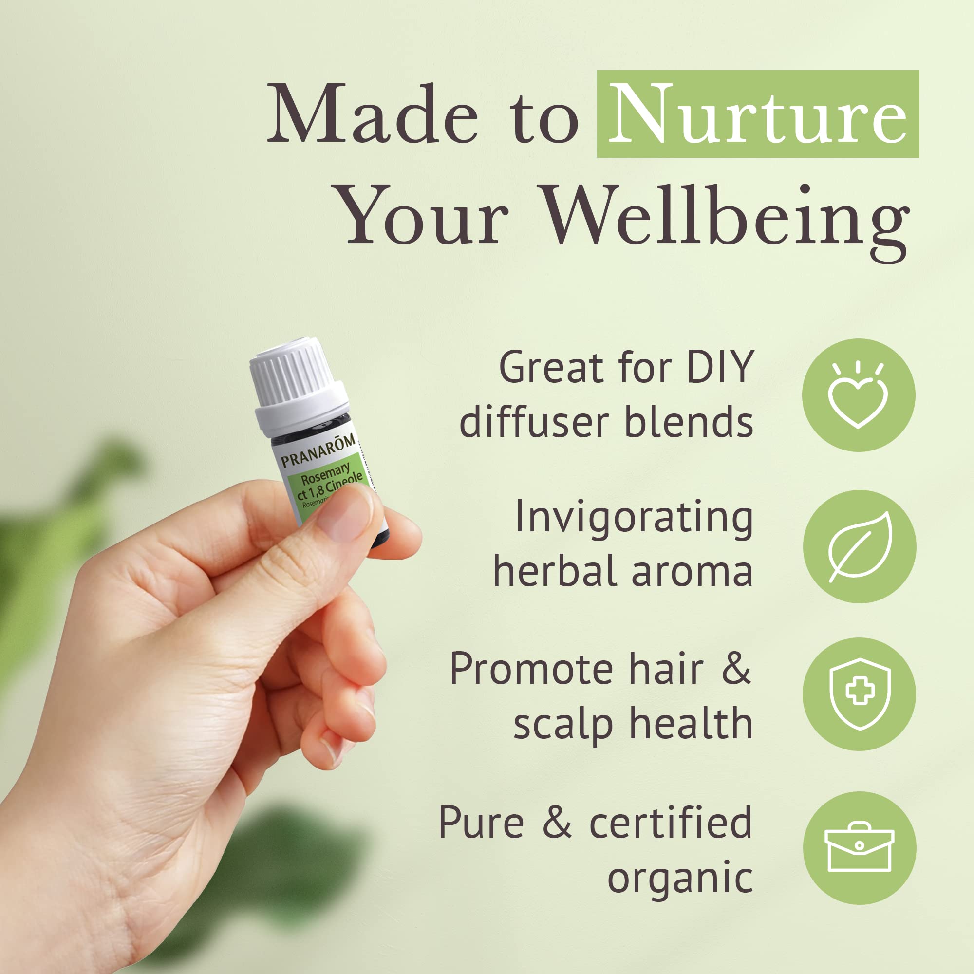Pranarom USDA Certified Organic Rosemary Cineole Essential Oil (5ml) – 100% Pure Therapeutic Grade