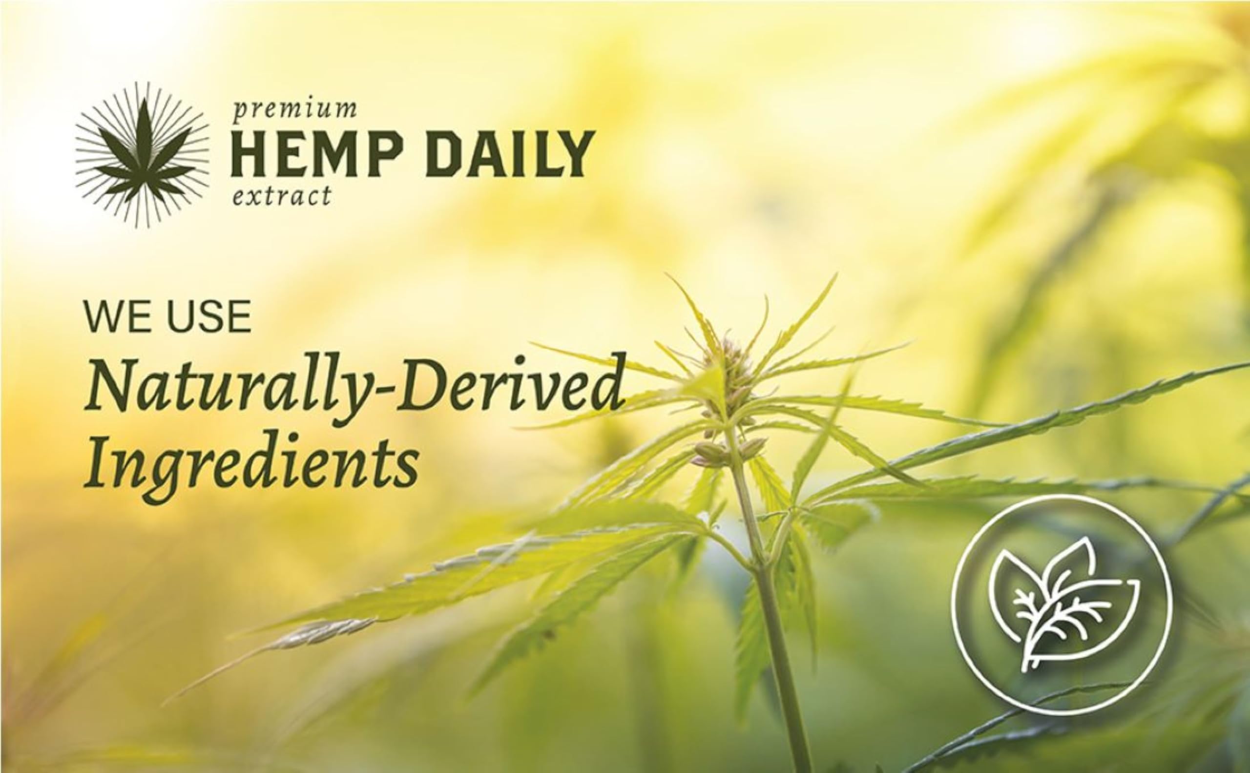 Premium Hemp Daily Intensive Cream – Vegan, Organic Hemp Cream with Essential Oils | 5 oz Classic Mint